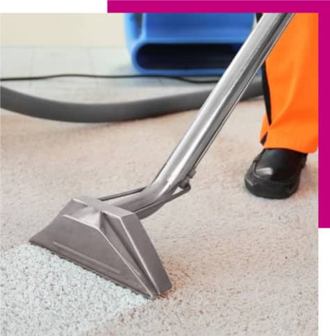 best end of lease carpet cleaning sunshine coast